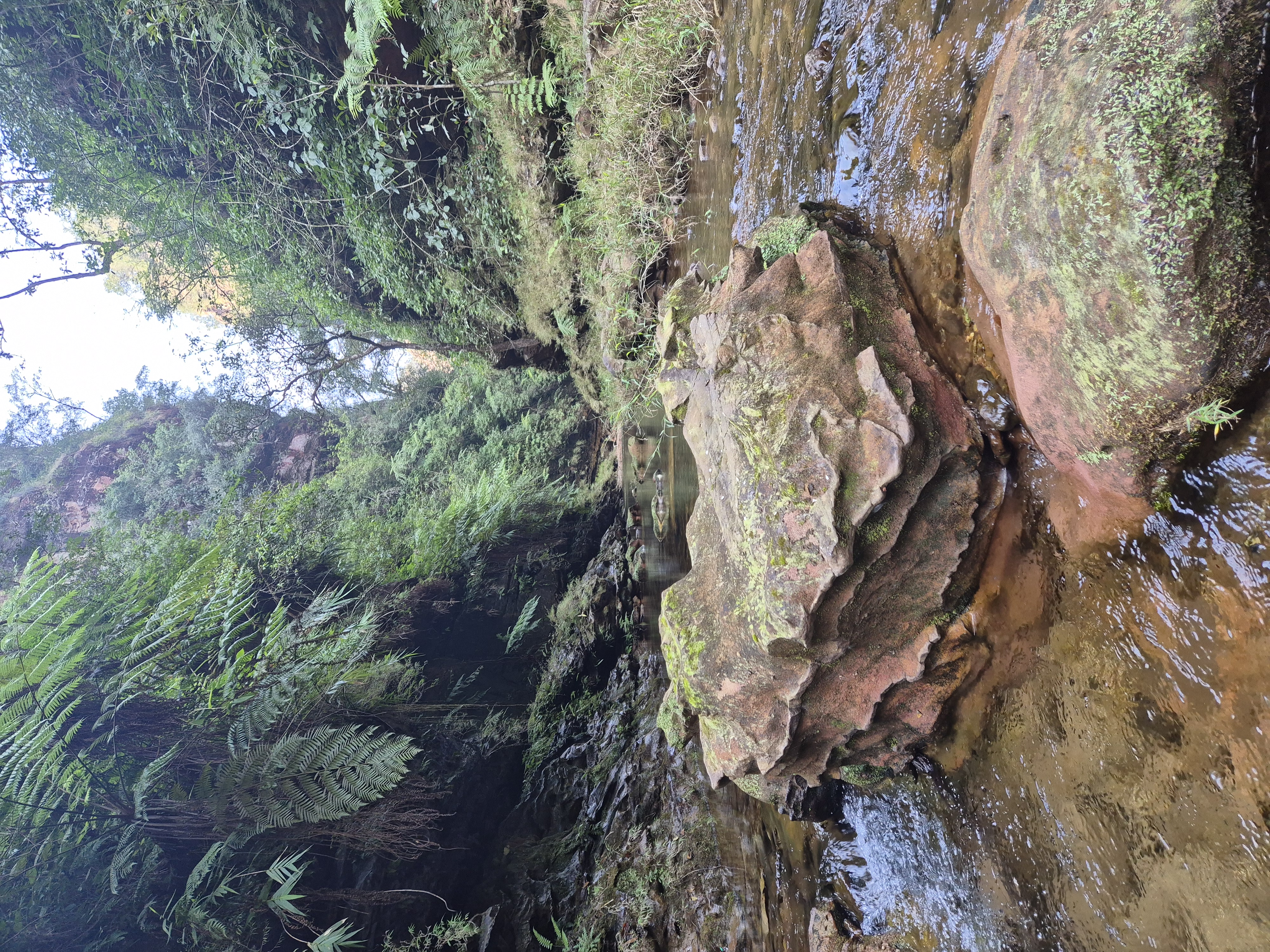 Gallery Image 43